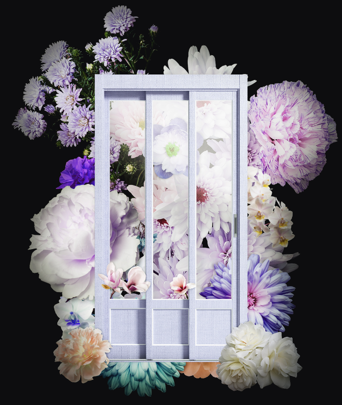 door1-concept